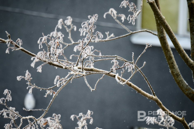 Сегодня в Татарстане ожидается до +2 градусов