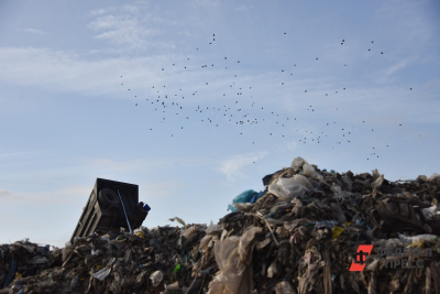 К востоку от Екатеринбурга построят мусорный завод за 10 млрд рублей