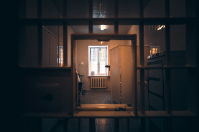 Меркачева сочла слишком строгим приговор комику Артемию Останину*