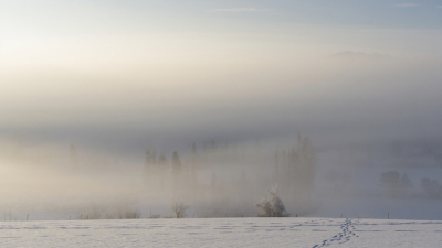 Туманная пятница: синоптики предупредили об ухудшении видимости в Татарстане