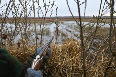 В Минприроды опровергли слухи о разрешении убивать краснокнижных животных