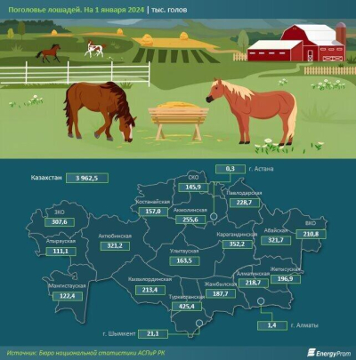 Поголовье лошадей в РК выросло на 5% за год