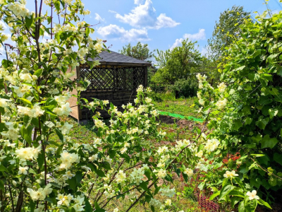 Общественник Машаров: за пал травы россиянам грозит до 10 лет лишения свободы