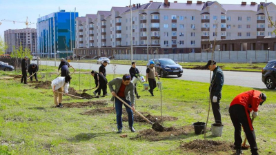 В Актюбинской области за неделю высадили более 123 тысяч зеленых насаждений