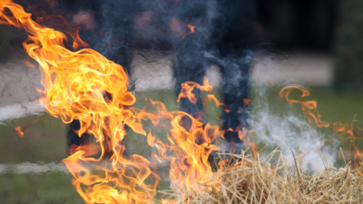 Дачникам грозит штраф до 60 тысяч рублей за сжигание мусора &ndash; подробности 19/03/2026 &ndash; Новости