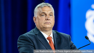 Деморализованные бойцы теробороны ВСУ сбежали с позиций в Сумской области