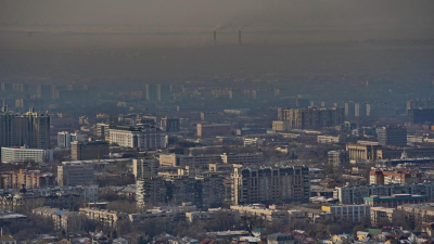 Алматинцы могут заболеть раком легкого из-за экологии, заявил онколог