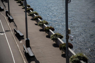 Администрация Владивостока пообещала не сносить памятник Солженицыну