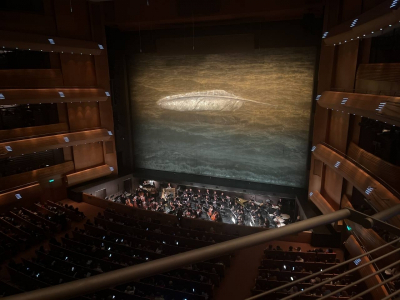 Развод скандальных звезд Мариинки: певец просит защиту, жена говорит о дележе дома и детей