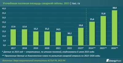 Ждать ли нынче дефицита сахара в Казахстане