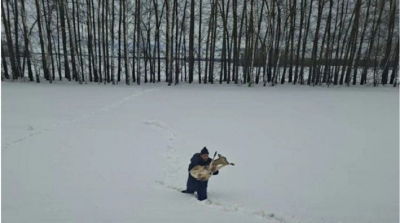За спасенной в Татарстане косулей с поврежденной ногой присмотрят специалисты