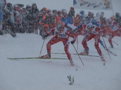 Вяльбе назвала историю с псом на ЧР-26 по лыжам досадным стечением обстоятельств