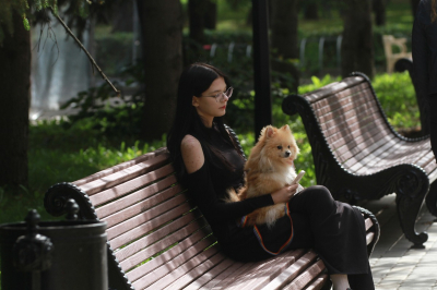 Законопроект о едином реестре домашних животных и их маркировании внесен в Думу