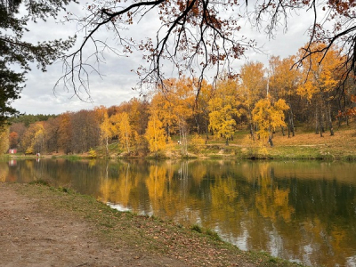 В Казани отметили Международный день лесов в рамках нацпроекта