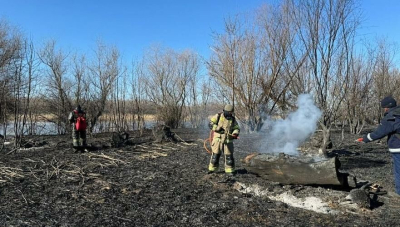 Пожар на площади 1 тыс. га тушат в лесничестве в Атырауской области