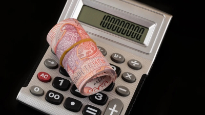 Цифровой контроль: паспорт налогоплательщика станет частью онлайн-сервисов