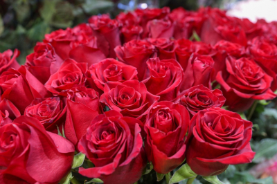 Появились кадры признания в любви стоимостью 70 млн рублей