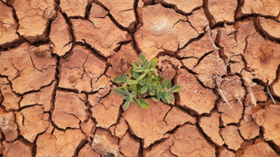 Токаев предупредил о засухах, таянии ледников и угрозе дефицита воды в Казахстане