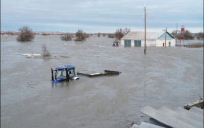 Весь аул ушел под воду, сынок. На моих глазах…