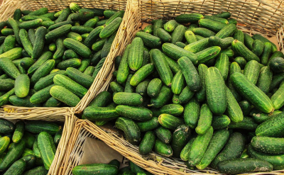 Эксперты оценили вероятность подорожания яиц из-за скачка цен в опте