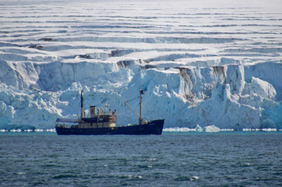 Арктика и Антарктика: чем отличаются, где находятся и почему их путают