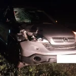 Два пешехода погибли вчера на дорогах Татарстана — фото с места трагедий