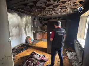 Пожар в частном доме унес жизни троих малышей
