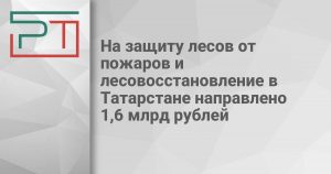 На защиту лесов от пожаров и лесовосстановление в Татарстане направлено 1,6 млрд рублей