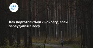 Как подготовиться к ночлегу, если заблудился в лесу