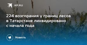 224 возгорания у границ лесов в Татарстане ликвидировано с начала года