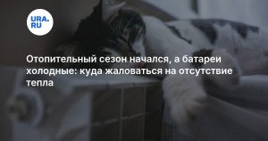 Отопительный сезон начался, а батареи холодные: куда жаловаться на отсутствие тепла