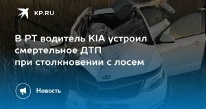 В РТ водитель KIA устроил смертельное ДТП при столкновении с лосем