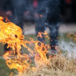 У границ лесов Татарстана с начала года потушили более 200 возгораний