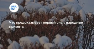 Что предсказывает первый снег: народные приметы
