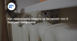 Как эффективно помыть за батареей: топ-5 быстрых лайфхаков