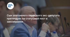 Сын эпатажного пермского экс-депутата претендует на статусный пост в заксобрании