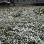 Из плюса в минус: в Татарстане ожидаются ночные заморозки до -2 градусов