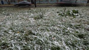 Из плюса в минус: в Татарстане ожидаются ночные заморозки до -2 градусов