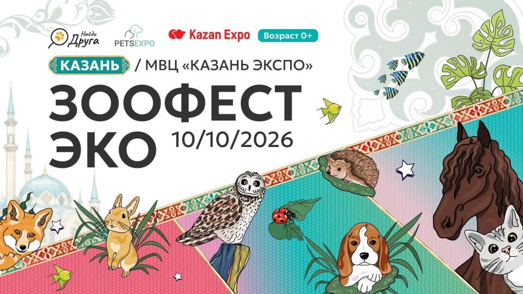От кошек до ящериц: 10 октября в Казани впервые пройдет фестиваль, посвященный домашних животным