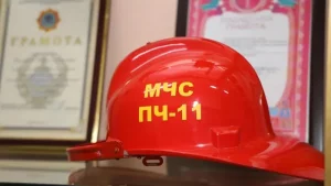 Спасателям удалось предотвратить трагедию на мосту в Астане