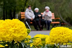 День пожилого человека 2026: красивые поздравления и открытки для родителей и бабушек