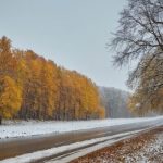 Порывистый ветер и мокрый снег: синоптики о погоде в Татарстане в конце рабочей недели