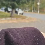 В Татарстане первый снег, на дороги обрушилась метель — видео