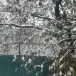 С первым снегом: Минниханов показал заснеженные улицы городов Татарстана
