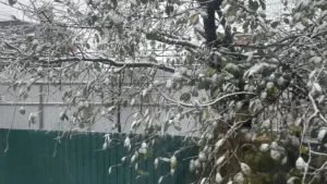 С первым снегом: Минниханов показал заснеженные улицы городов Татарстана