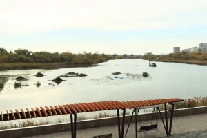 В Кургане расчистят 1,7 километра Тобола от «Бабьих песков» до плотины. Фото