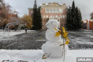 Когда выпадет снег после Покрова: народные приметы, которые сбываются