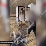 В России пресекли деятельность более 50 несовершеннолетних диверсантов, завербованных кураторами