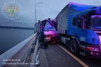 В Казани на улице Амирхана сбили оленя