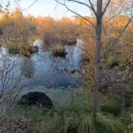 Тело неизвестного мужчины нашли в болотистом водоеме на улице Мусина в Казани